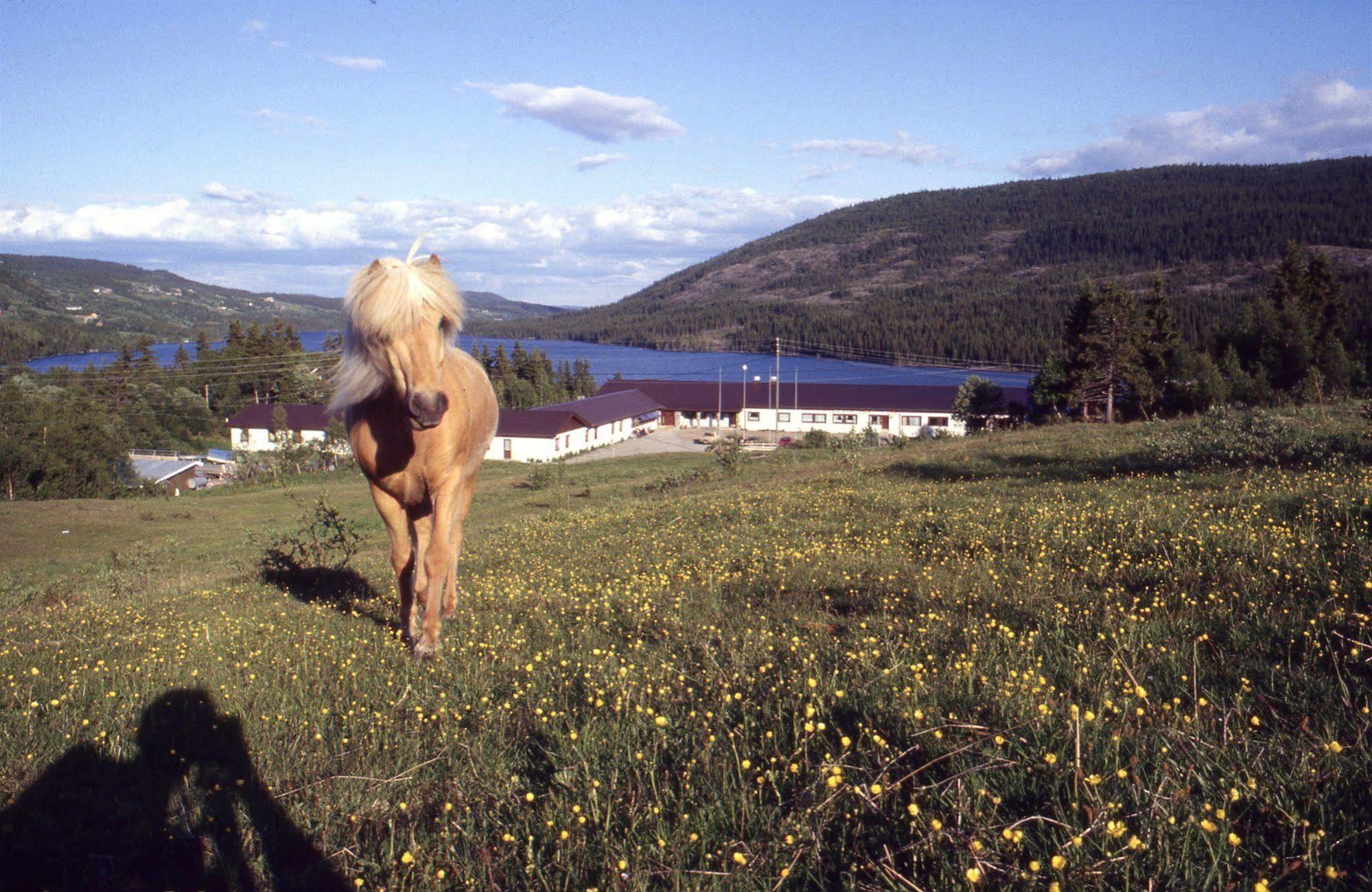 Valdres Hoyfjellshotell Steinsetbygdi Exterior photo